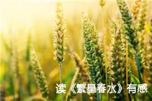 读《繁星春水》有感