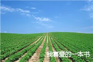 我喜爱的一本书