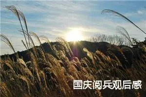 国庆阅兵观后感