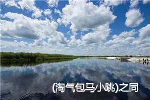 (淘气包马小跳)之同桌冤家大转弯