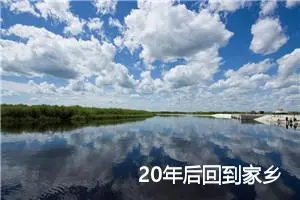 20年后回到家乡