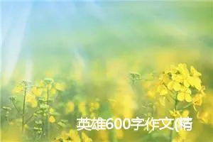 英雄600字作文(精选5篇)