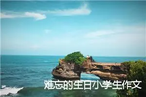 难忘的生日小学生作文(精选5篇)