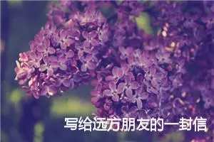 写给远方朋友的一封信600字(精选5篇)