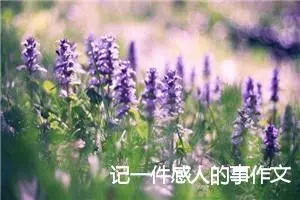 记一件感人的事作文