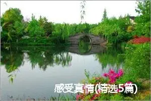 感受真情(精选5篇)