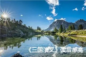 《三国演义》读后感高三作文