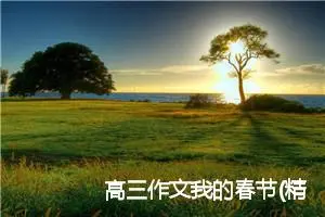 高三作文我的春节(精选5篇)