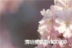 清明祭英烈作文600字左右(精选5篇)