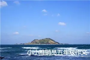 小小推销员五年级作文(精选5篇)