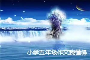 小学五年级作文我懂得母爱(精选5篇)