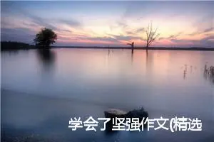 学会了坚强作文(精选5篇)