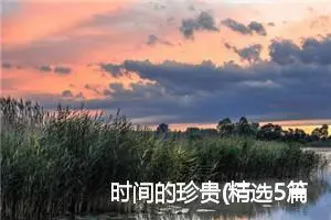 时间的珍贵(精选5篇)