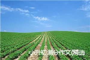 小升初满分作文(精选5篇)