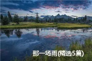 那一场雨(精选5篇)