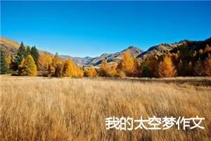 我的太空梦作文