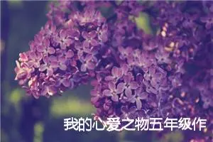 我的心爱之物五年级作文600字(精选10篇)