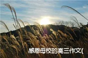 感恩母校的高三作文(精选5篇)