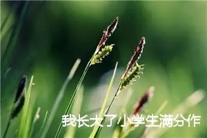 我长大了小学生满分作文(精选5篇)