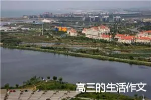 高三的生活作文