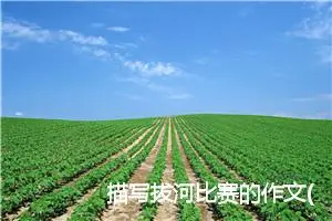 描写拔河比赛的作文(精选8篇)