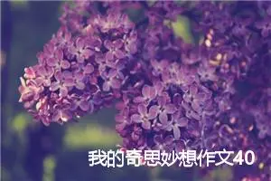 我的奇思妙想作文400字(精选7篇)