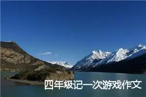 四年级记一次游戏作文(精选10篇)