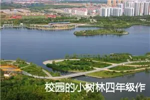 校园的小树林四年级作文(精选5篇)