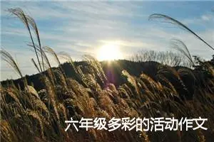 六年级多彩的活动作文(精选10篇)