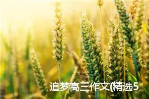 追梦高三作文(精选5篇)