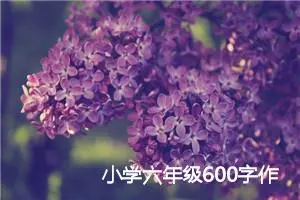 小学六年级600字作文难忘的老师(精选5篇)