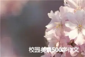 校园美景500字作文(精选6篇)