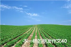 不一样的朋友作文400字(精选6篇)