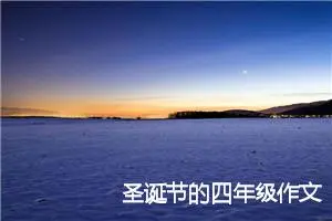 圣诞节的四年级作文