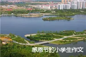 感恩节的小学生作文