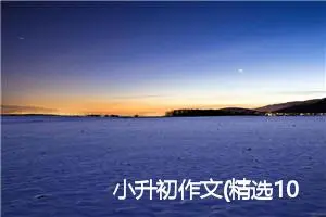 小升初作文(精选10篇)