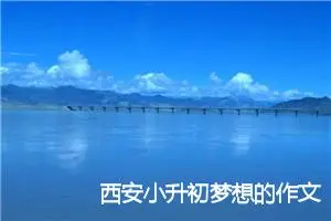西安小升初梦想的作文(精选7篇)
