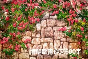 清明踏青作文600字(精选5篇)