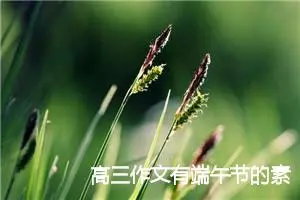 高三作文有端午节的素材(精选5篇)