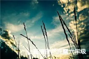 让真情自然流露六年级满分作文(精选40篇)