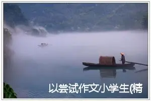 以尝试作文小学生(精选5篇)