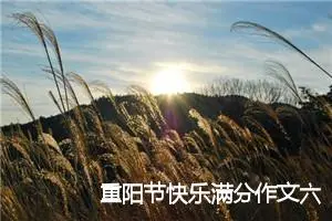 重阳节快乐满分作文六年级(精选5篇)