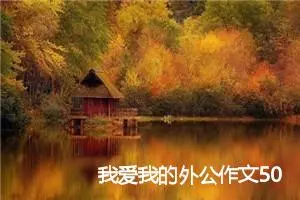 我爱我的外公作文500字(精选5篇)