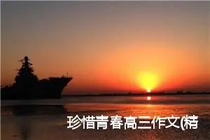 珍惜青春高三作文(精选5篇)