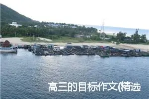 高三的目标作文(精选5篇)