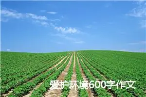 爱护环境600字作文(精选5篇)