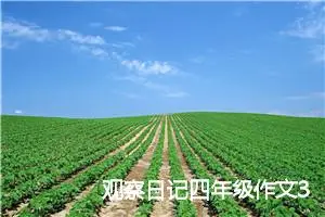 观察日记四年级作文350字(精选10篇)