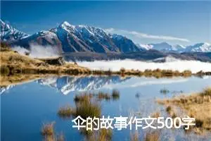 伞的故事作文500字(精选5篇)