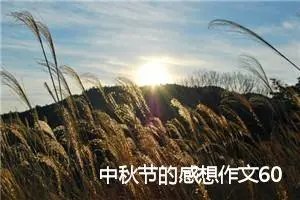 中秋节的感想作文600字左右(精选10篇)