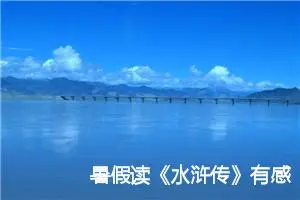 暑假读《水浒传》有感四年级作文